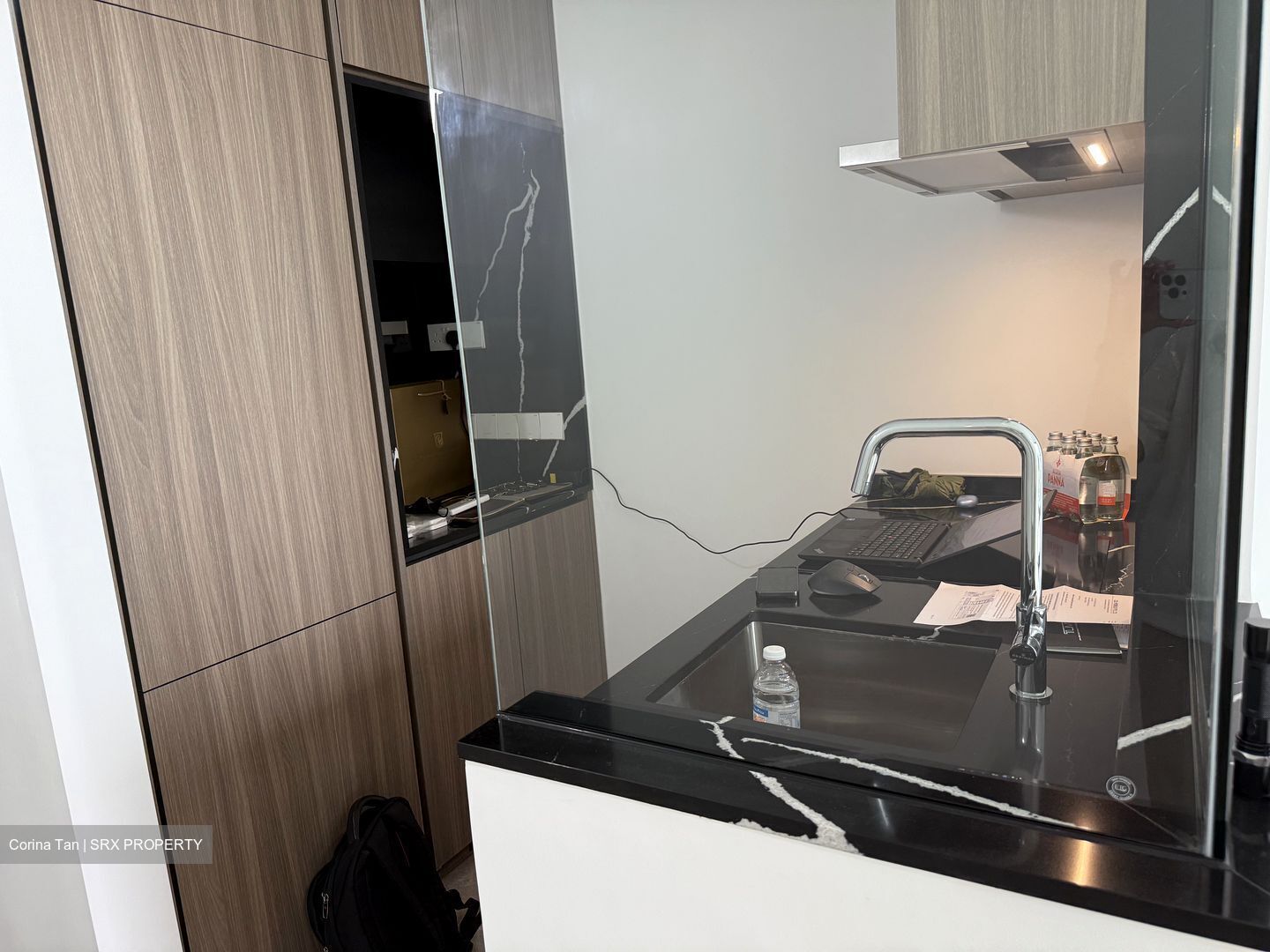 Irwell Hill Residences (D9), Apartment #445629711